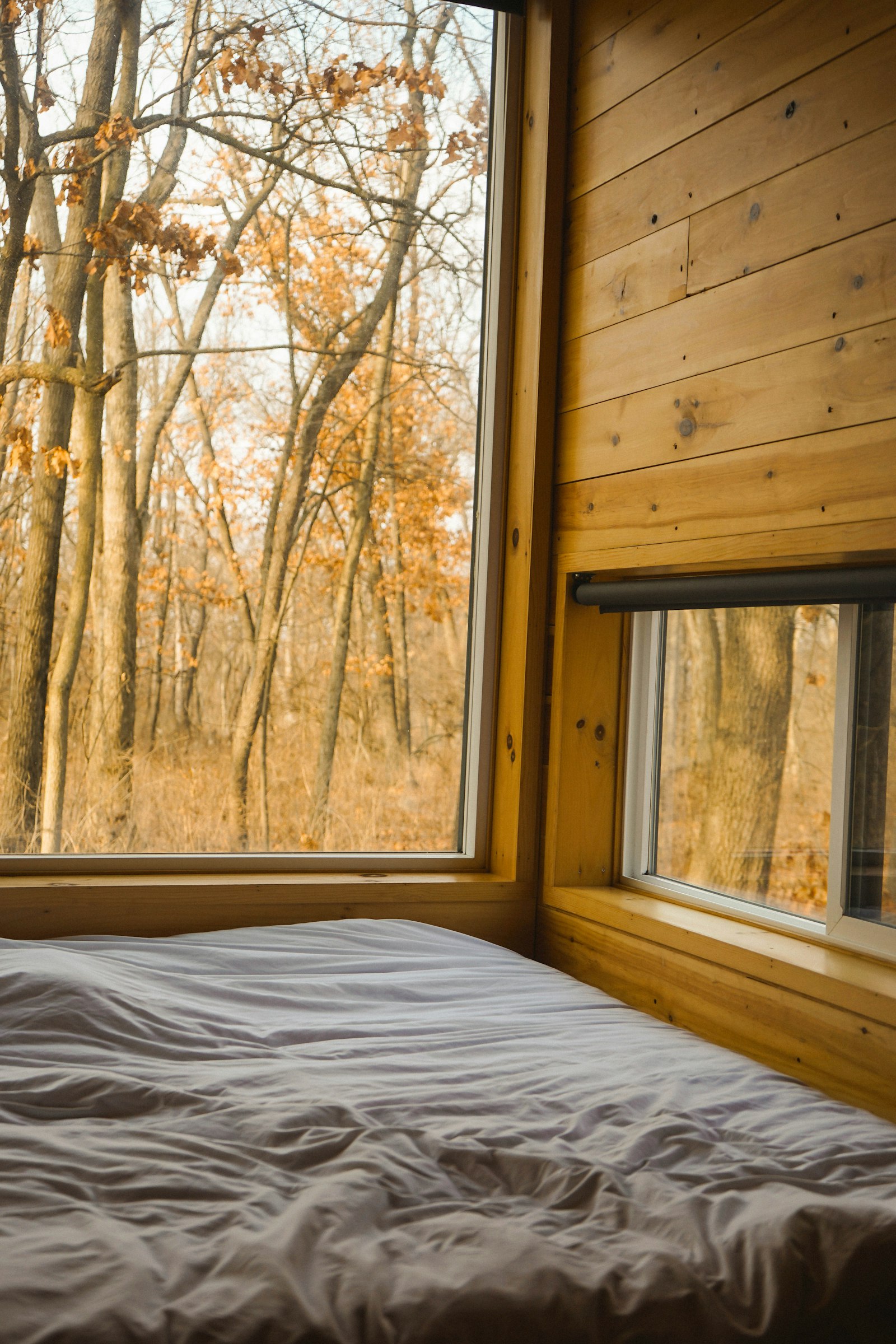 A made bed beside a large window facing autumn woodland