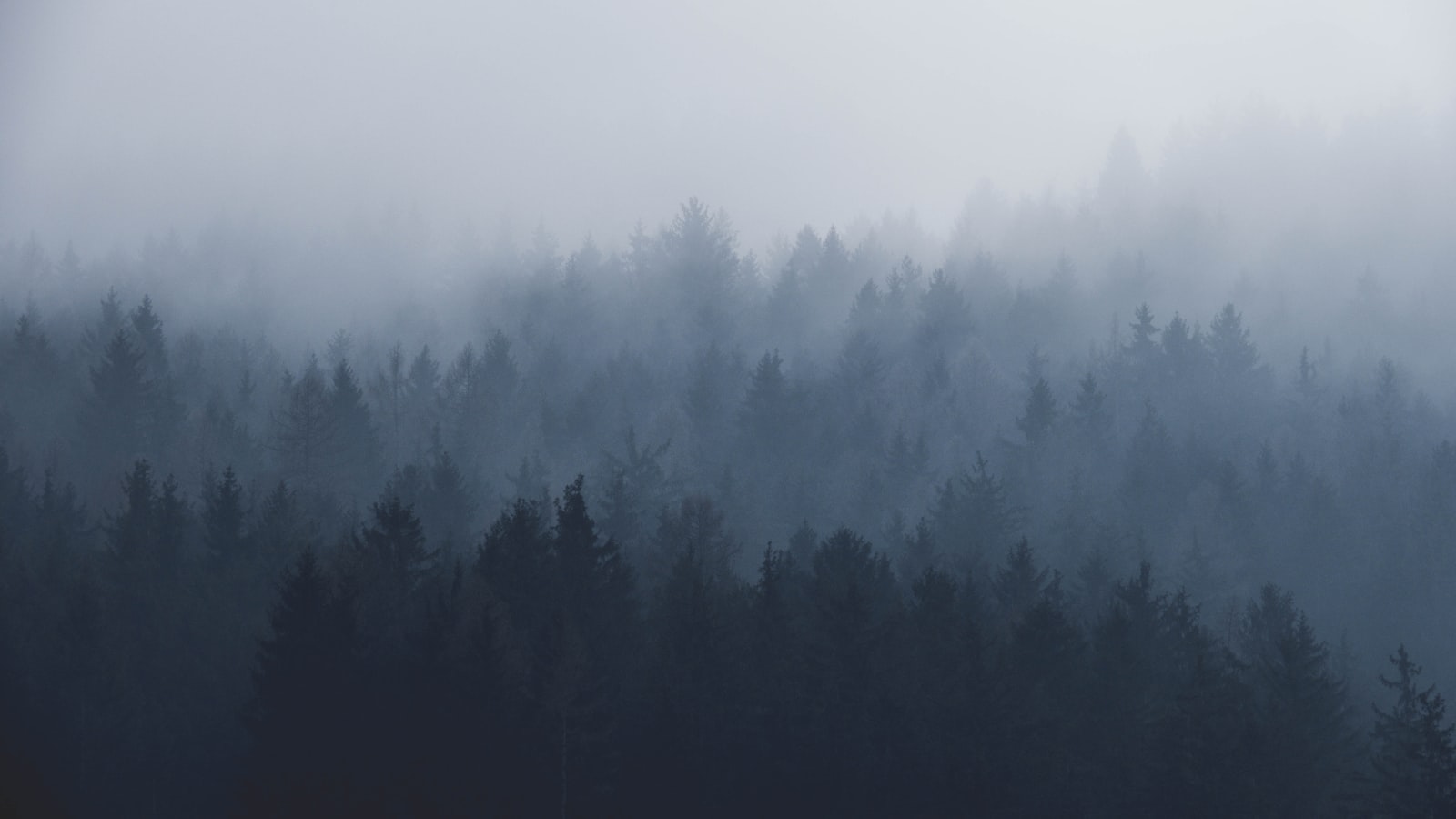 Fog settling over dark forested hills