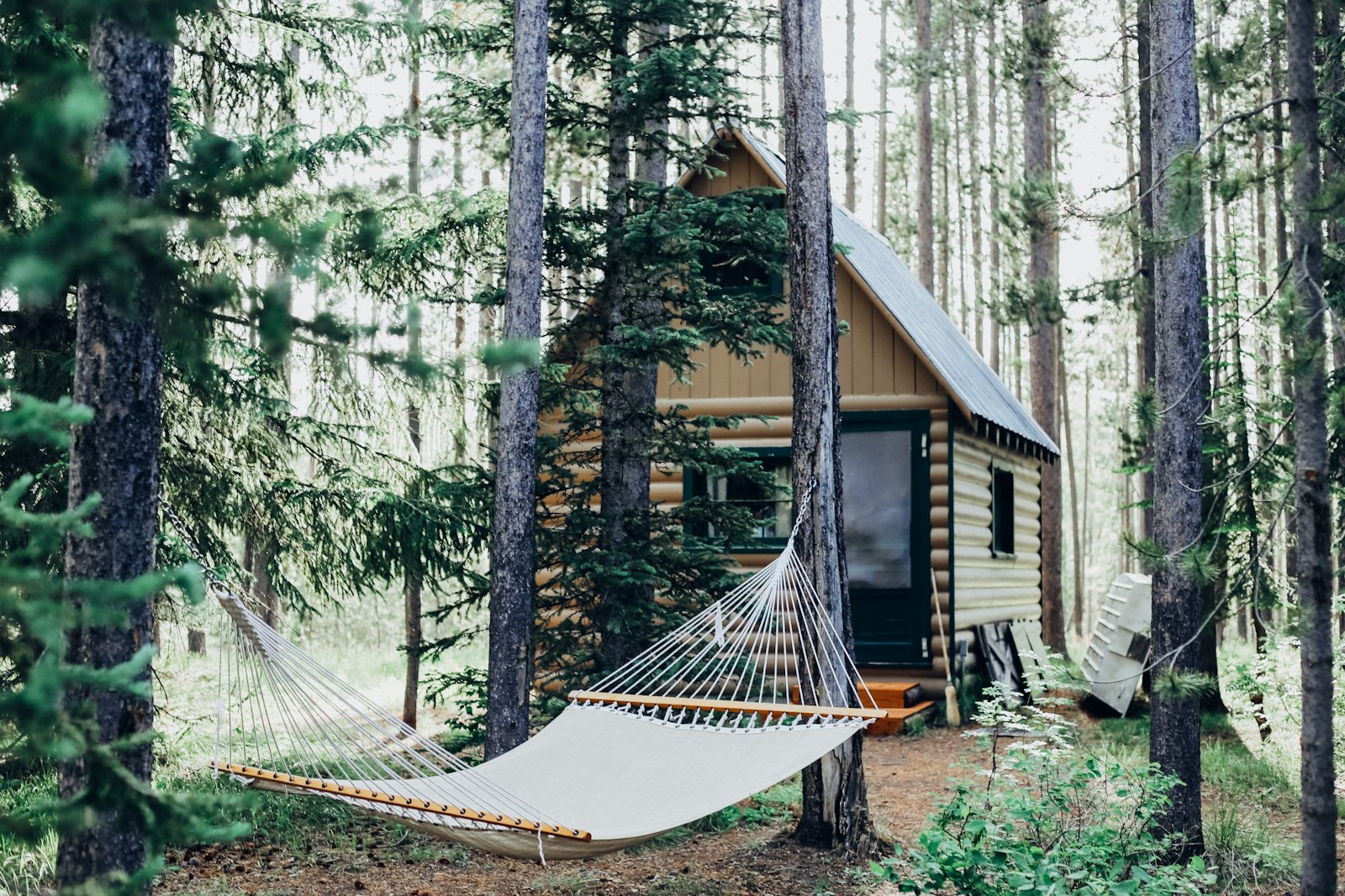 A hammock strung between pines beside a cabin